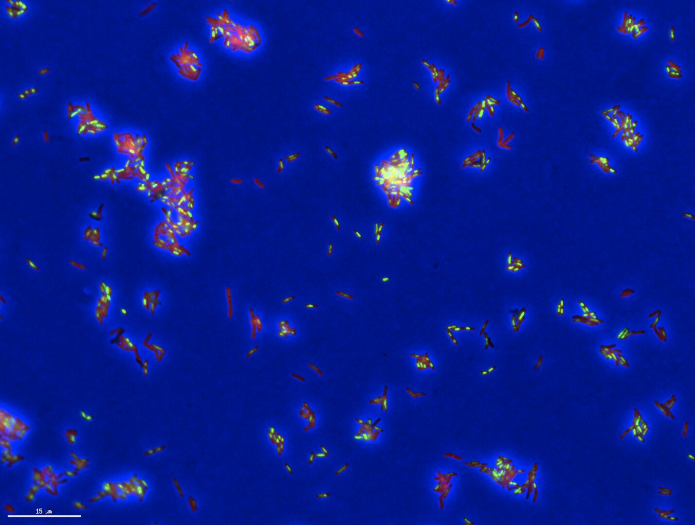AI Drug Discovery Disease Surveillance: 2 Exciting Breakthroughs Unveiled